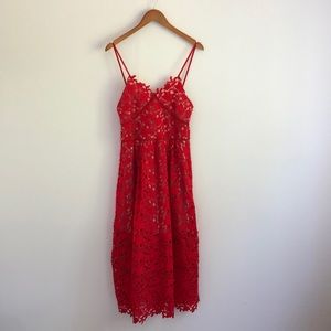 Lace dress - looks like My Self Portrait!